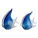 Glass Fish Glass Fish