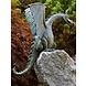 Drache auf Fels Bronze Sprayfigur XXL Drache auf Fels Bronze Sprayfigur XXL