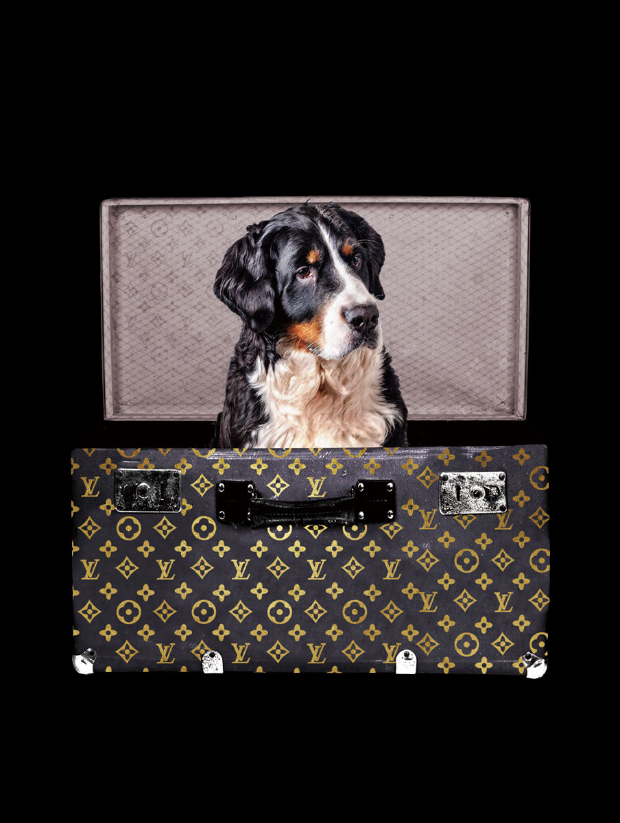 verdund letterlijk Adolescent Glasschilderij Louis Vuitton koffer zwart met hond 60x80cm met goudfolie |  Eliassen - Eliassen Home & Garden Pleasure