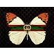 Glass painting Gucci butterfly green band 60x80cm Glass painting Gucci butterfly green band 60x80cm