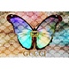 Glasschilderij Gucci vlinder kleurrijk 80x120cm Glasschilderij Gucci vlinder kleurrijk 80x120cm