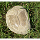 Urn Vlinder op steen 15cm Urn Vlinder op steen 15cm
