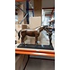 Eliassen Beeld brons paard met geleider Eliassen Beeld brons paard met geleider