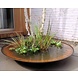 Adezz Waterschaal Cortenstaal Adezz 100x21cm Adezz Waterschaal Cortenstaal Adezz 100x21cm