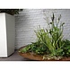 Adezz Waterschaal Cortenstaal Adezz 100x21cm Adezz Waterschaal Cortenstaal Adezz 100x21cm