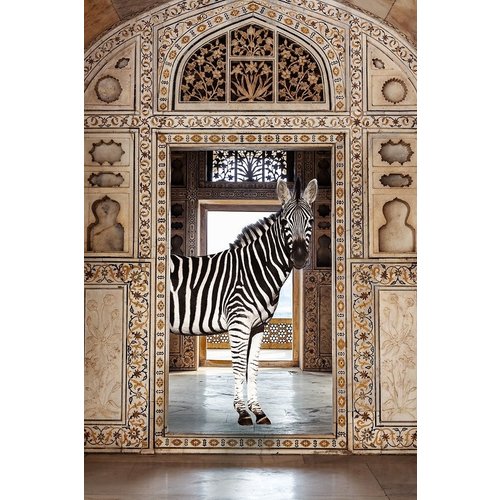 Glasschilderij Zebra in living 80x120cm. Glasschilderij Zebra in living 80x120cm.