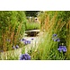 Adezz Adezz Wassernapf Beschichteter Stahl 150x33cm Adezz Adezz Wassernapf Beschichteter Stahl 150x33cm