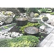 Adezz Adezz Wassertisch Aluminium Rund 100x40cm Adezz Adezz Wassertisch Aluminium Rund 100x40cm