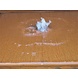 Adezz Adezz Wassertisch Cortenstahl Rechteck 600x100x40cm Adezz Adezz Wassertisch Cortenstahl Rechteck 600x100x40cm