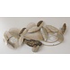 Wand decoratie 3d Swing Wand decoratie 3d Swing
