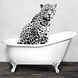 Glasschilderij Panther in badkuip 80x80cm. Glasschilderij Panther in badkuip 80x80cm.