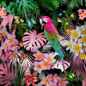 Glasschilderij Kleurrijke papegaai 80x80cm.