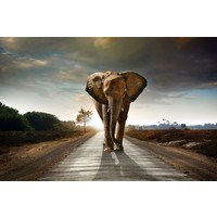 Glasmalerei Elefant groß 110x160cm