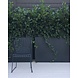 Adezz Plantenbak Aluminium Vierkant Florida met poten 80x80x80cm Adezz Plantenbak Aluminium Vierkant Florida met poten 80x80x80cm