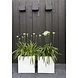 Adezz Plantenbak Polyester Hoogglans Rechthoek Buxus 100x40x40cm Adezz Plantenbak Polyester Hoogglans Rechthoek Buxus 100x40x40cm