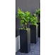 Adezz Plantenbak Polyester Hoogglans Vierkant Buxus 40x40x100cm Adezz Plantenbak Polyester Hoogglans Vierkant Buxus 40x40x100cm