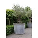 Adezz Plantenbak Verzinkt Staal Rond Vaza 100x100cm Adezz Plantenbak Verzinkt Staal Rond Vaza 100x100cm