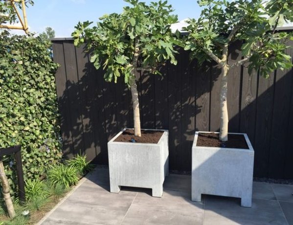 geur Maaltijd Het Plantenbak Verzinkt Staal Vierkant Vadim 80x80x80cm | Eliassen - Eliassen  Home & Garden Pleasure