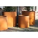 Adezz Plantenbak Cortenstaal Overig Ellipse 120x80x60cm Adezz Plantenbak Cortenstaal Overig Ellipse 120x80x60cm