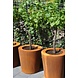 Adezz Pflanzer Corten Stahl Rundatlas ohne Boden 150x60 Adezz Pflanzer Corten Stahl Rundatlas ohne Boden 150x60