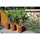 Adezz Pflanzer Corten Stahl Rundatlas ohne Boden 150x60 Adezz Pflanzer Corten Stahl Rundatlas ohne Boden 150x60