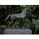 Bronzen paard hot patina Bronzen paard hot patina