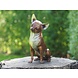 Bronzen chihuahua Bronzen chihuahua
