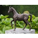Bronzen paard Bronzen paard