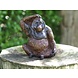 Bronzen orang oetan Bronzen orang oetan