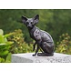 Bronze sitzende nackte Katze Bronze sitzende nackte Katze