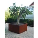 Adezz Pflanzer Corten Stahl Square Andes ohne Boden 120x120x40cm Adezz Pflanzer Corten Stahl Square Andes ohne Boden 120x120x40cm
