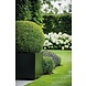 Adezz Plantenbak Polyester Rechthoek Buxus 120x40x40cm Adezz Plantenbak Polyester Rechthoek Buxus 120x40x40cm