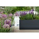Adezz Plantenbak Polyester Rechthoek Buxus 120x40x40cm Adezz Plantenbak Polyester Rechthoek Buxus 120x40x40cm