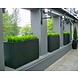 Adezz Plantenbak Polyester Rechthoek Buxus met wielen 100x50x50cm Adezz Plantenbak Polyester Rechthoek Buxus met wielen 100x50x50cm