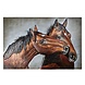 Schilderij 3d 2 paarden 120x80cm Schilderij 3d 2 paarden 120x80cm
