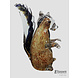 Glass sculpture squirrel Glass sculpture squirrel