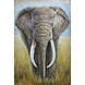 3D schilderij metaal 80x120cm Olifant In Gras 3D schilderij metaal 80x120cm Olifant In Gras