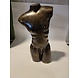 Bronzen naakte man torso Bronzen naakte man torso