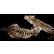 Glasbild Panther Duo 160x80cm. Glasbild Panther Duo 160x80cm.