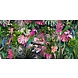Glasschilderij Vogels in bloemenpracht 80x160cm. Glasschilderij Vogels in bloemenpracht 80x160cm.