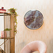 Thomas Kent Wandklok Rond Amber/Goud Oyster M Ø 55cm Thomas Kent Wandklok Rond Amber/Goud Oyster M Ø 55cm