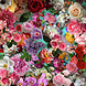 Glass painting Flower splendor 80x80cm Glass painting Flower splendor 80x80cm