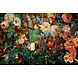 Glasschilderij Toekan in de bloemen 120x80cm Glasschilderij Toekan in de bloemen 120x80cm
