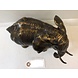 Eliassen Bronzen beeld Olifant Eliassen Bronzen beeld Olifant