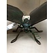 Bronzeskulptur Schmetterling Bronzeskulptur Schmetterling