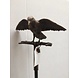 Eliassen Bronzen tuinsteker Merel Eliassen Bronzen tuinsteker Merel