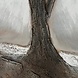 Malleinwand Baum braun 120x90cm Malleinwand Baum braun 120x90cm