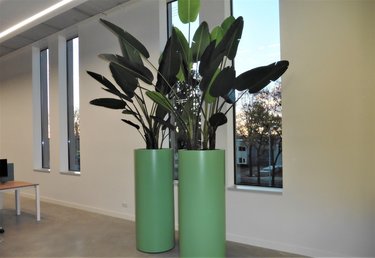 ADEZZ polyester high gloss planters (OTHER)