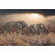 Glass painting Elephant duo 80x120cm Glass painting Elephant duo 80x120cm