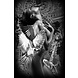 Glasbild Frau mit 2 Papageien 80x120cm Glasbild Frau mit 2 Papageien 80x120cm